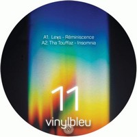 Vinyl Bleu 11